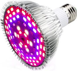 Esbaybulbs L22 LED лампа для растений цена и информация | Проращиватели, лампы для растений | kaup24.ee