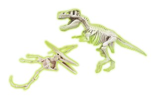 Kahjustatud pakendiga toode. Kaevekomplekt Clementoni Jurassic World Dig T-Rex E Pteranodon hind ja info | Mänguasjad kahjustatud pakendis | kaup24.ee