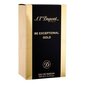 Parfüümvesi S.T. Dupont Be Exceptional Gold EDP meestele 100 ml hind ja info | Meeste parfüümid | kaup24.ee