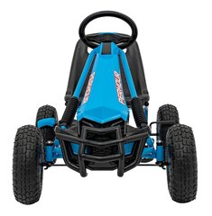 Kart Gokart, sinine hind ja info | Poiste mänguasjad | kaup24.ee