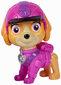 Paw Patrol Jungle Pups Skye Spin Master mängulennuk ja figuurikomplekt hind ja info | Poiste mänguasjad | kaup24.ee