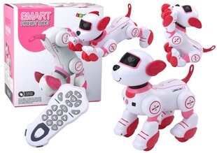 Interaktiivne koer – robot Lean Toys hind ja info | Poiste mänguasjad | kaup24.ee
