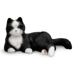 Домашнее животное-робот кошка Hasbro, черно-белый цена и информация | Игрушки для девочек | kaup24.ee