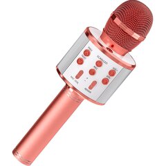 Микрофон для караоке со встроенным динамиком, розовый цена и информация | Развивающие игрушки | kaup24.ee