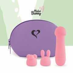 Вибратор FeelzToys Mister Bunny Massage Vibrator, розовый цвет цена и информация | Вибраторы | kaup24.ee