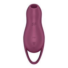 Вибратор Satisfyer Pocket Pro 1, фиолетовый цена и информация | Вибраторы | kaup24.ee