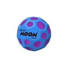 Pall Waboba NASA Moon Ball hind ja info | Korvpallid | kaup24.ee