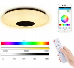 RGB LED laelamp Värviline Bluetooth kõlar 60w + Kaugjuhtimispuldi Smart rakendus hind ja info | Laelambid | kaup24.ee