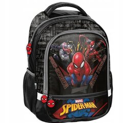 Kooli seljakott Paso Spiderman SP22NN-260, 41x31x15 cm цена и информация | Школьные рюкзаки, спортивные сумки | kaup24.ee