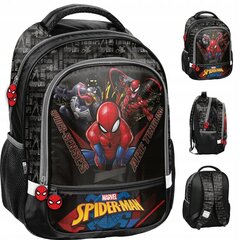 Kooli seljakott Paso Spiderman SP22NN-260, 41x31x15 cm цена и информация | Школьные рюкзаки, спортивные сумки | kaup24.ee