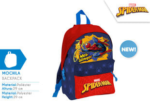 SPIDER-MAN backpack цена и информация | Школьные рюкзаки, спортивные сумки | kaup24.ee