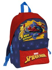 SPIDER-MAN backpack цена и информация | Школьные рюкзаки, спортивные сумки | kaup24.ee