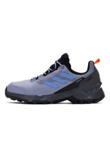 ADIDAS TERREX EASTRAIL 2 R.RDY jalanõud, olemas suurus 42 HP8604_42 hind ja info | Spordi- ja vabaajajalatsid meestele | kaup24.ee