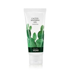 YADAH - Cactus Soothing Gel, 105g - niisutav ja rahustav geel näole ja kehale hind ja info | Näopuhastusvahendid | kaup24.ee