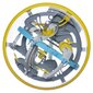 Palli labürindi Spin Master Perplexus Beast 3D hind ja info | Lauamängud ja mõistatused | kaup24.ee