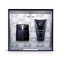 Komplekt Thierry Mugler Alien Men meestele: tualettvesi EDT 50 ml + dušigeel 50 ml цена и информация | Meeste parfüümid | kaup24.ee