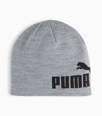 Puma мужская шапка 025636*03, светло-серый 4067981498581 цена и информация | Мужские шарфы, шапки, перчатки | kaup24.ee