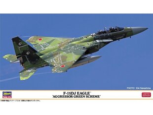 Hasegawa - McDonnell Douglas F-15DJ Eagle `Aggressor Green Scheme´, 1/72, 02460 цена и информация | Конструкторы и кубики | kaup24.ee