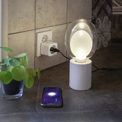 Tarvik Smart Plug hind ja info | Süvistatavad ja LED valgustid | kaup24.ee