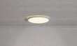 LED-laevalgusti Integra Ceiling hind ja info | Laelambid | kaup24.ee