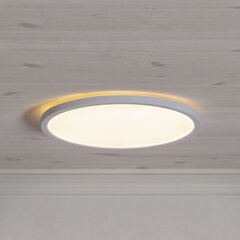 LED Ceiling light Integra Ceiling 380-18 цена и информация | Потолочные светильники | kaup24.ee