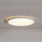 LED-laevalgusti Integra Ceiling hind ja info | Laelambid | kaup24.ee