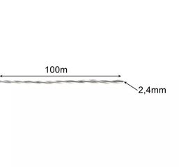 Trimmeri nöör - 100m Bigstren hind ja info | Aiatööriistade lisatarvikud | kaup24.ee