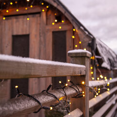 Icicle Lights Extra System 24 Vilgub hind ja info | Jõulutuled | kaup24.ee