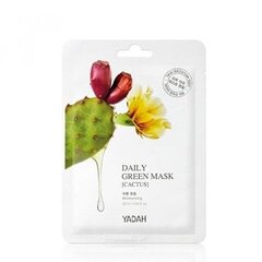 YADAH Daily Green Mask Cactus 25ml hind ja info | Näomaskid, silmamaskid | kaup24.ee