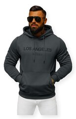 Meeste hall džemper Los Angeles JS/27B6507/5-56251-XXL цена и информация | Мужская спортивная одежда | kaup24.ee