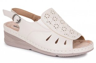 Naiste sandaalid ENPLUS B24263720041052 hind ja info | Naiste kingad | kaup24.ee