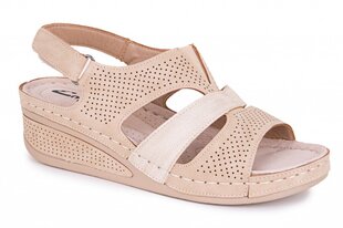 Naiste sandaalid ENPLUS B24268730041052 hind ja info | Naiste kingad | kaup24.ee