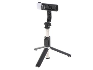 Selfie stick LED valgustusega Rivex hind ja info | Selfie sticks | kaup24.ee