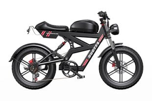Электровелосипед Duotts ​​F20, 20", черный цена и информация | Электровелосипеды | kaup24.ee