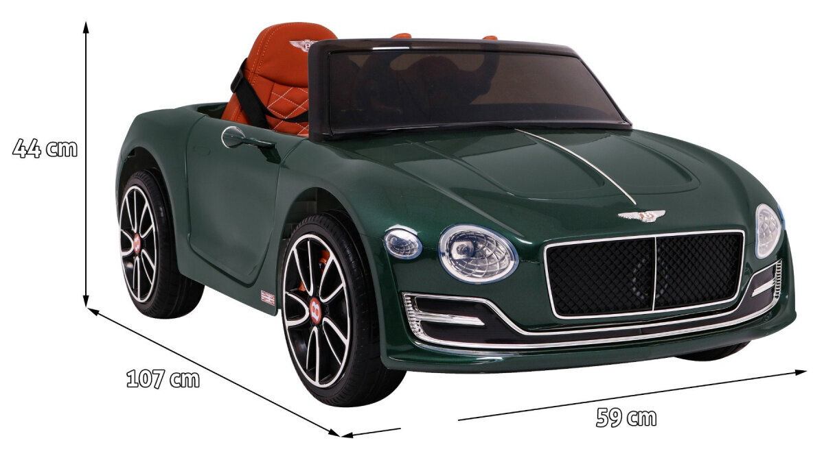 Elektriauto lastele Bentley EXP12, roheline hind ja info | Laste elektriautod | kaup24.ee