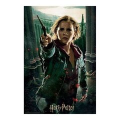 Pusle Harry Potter Prime3D, 300tk hind ja info | Pusled | kaup24.ee