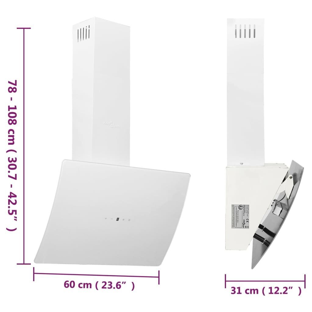 vidaXL pliidikubu, 60 cm, teras ja karastatud klaas, valge цена и информация | Õhupuhastid | kaup24.ee