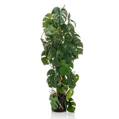 Emerald kunsttaim Monstera potis, 75 cm hind ja info | Kunstlilled | kaup24.ee