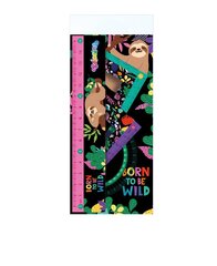 Joonlaudade komplekt 4 tk Wildkid (1 tk.) hind ja info | Kirjatarbed | kaup24.ee