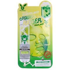 Elizavecca Centella Deep Power Ringer mask 23ml hind ja info | Näomaskid, silmamaskid | kaup24.ee