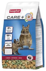 Toit Degu Beaphar Care+, 700 g hind ja info | Toit väikeloomadele | kaup24.ee