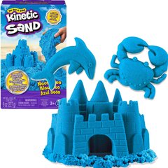 Kineetiline liiv Kinetic Sand 227 g, sinine цена и информация | Развивающие игрушки | kaup24.ee