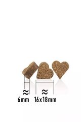 Happy Dog Soft Snack Neuseeland lambalihaga maius koertele, 10x100g hind ja info | Maiustused koertele | kaup24.ee