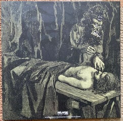 Integrity  - All Death Is Mine : Total Domination, LP, виниловая пластинка, 12" vinyl record цена и информация | Виниловые пластинки, CD, DVD | kaup24.ee