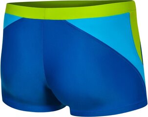 Meeste ujumispüksid Aqua Speed Dario, sinine hind ja info | Ujumispüksid, shortsid | kaup24.ee