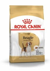 Royal Canin aikuisille beagle Beagle aikuinen, 3 kg hind ja info | Kuivtoit koertele | kaup24.ee