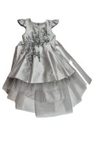Платье для девочки LiberiTog A0224002, серебро цена и информация | Платья для девочек | kaup24.ee
