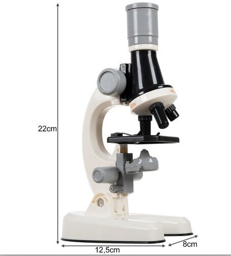 Õppemikroskoop 1200x22379 - Iso Trade цена и информация | Mikroskoobid ja teleskoobid | kaup24.ee