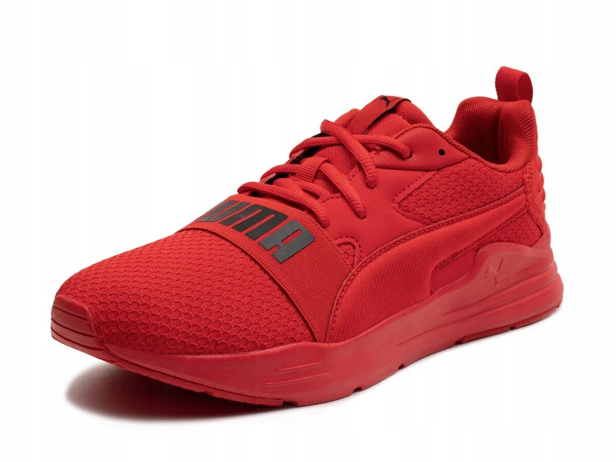 PUMA WIRED RUN PURE meeste jalatsid 389275-06 sportlik helepunane 42.5 hind ja info | Meeste kingad, saapad | kaup24.ee