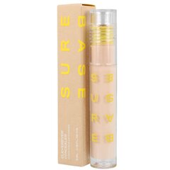 SUREBASE CLEVEREVER CONCEALER Nr0 hind ja info | Jumestuskreemid, puudrid | kaup24.ee